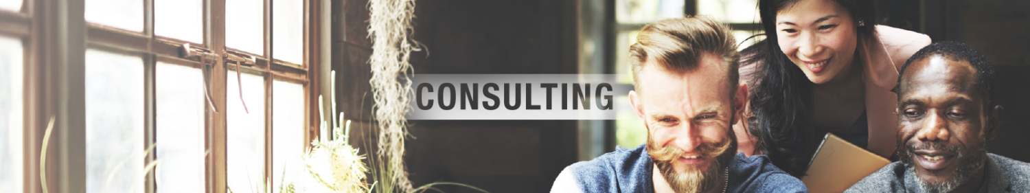 consulting